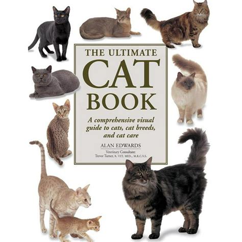 Book Of Cats bet365